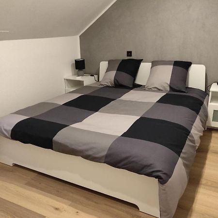 Le Business, Duplex Moderne Special Pro De Passage Apartment Sarreguemines Exterior foto