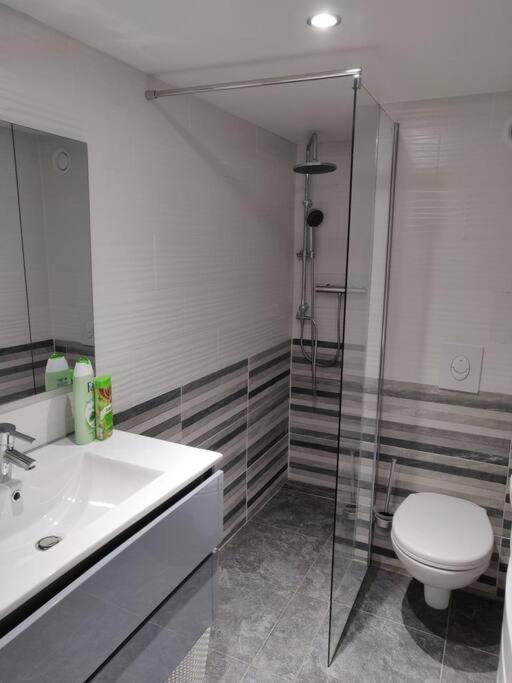 Le Business, Duplex Moderne Special Pro De Passage Apartment Sarreguemines Exterior foto